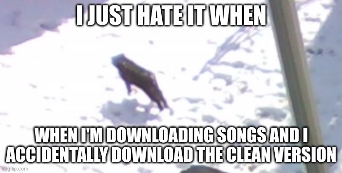 I JUST HATE IT WHEN; WHEN I'M DOWNLOADING SONGS AND I ACCIDENTALLY DOWNLOAD THE CLEAN VERSION | image tagged in levitating cat | made w/ Imgflip meme maker