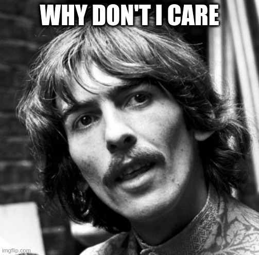 Hi George | WHY DON'T I CARE | image tagged in hi george | made w/ Imgflip meme maker