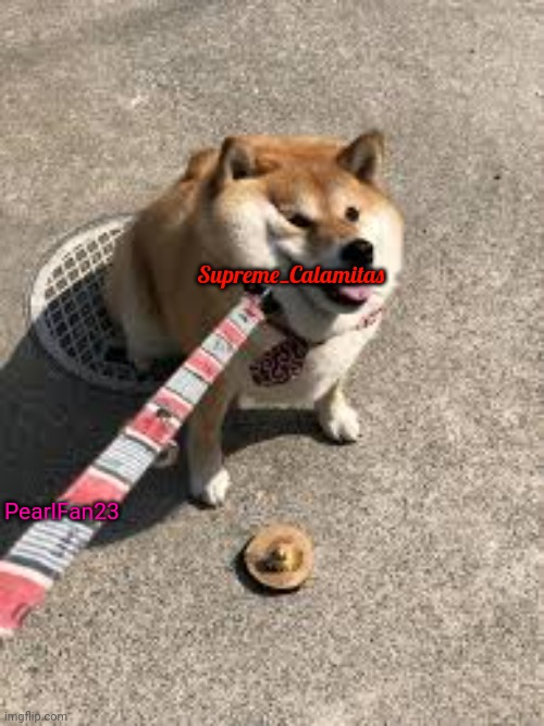 Calamitas on a leash | Supreme_Calamitas; PearlFan23 | image tagged in squishy doggo leash | made w/ Imgflip meme maker