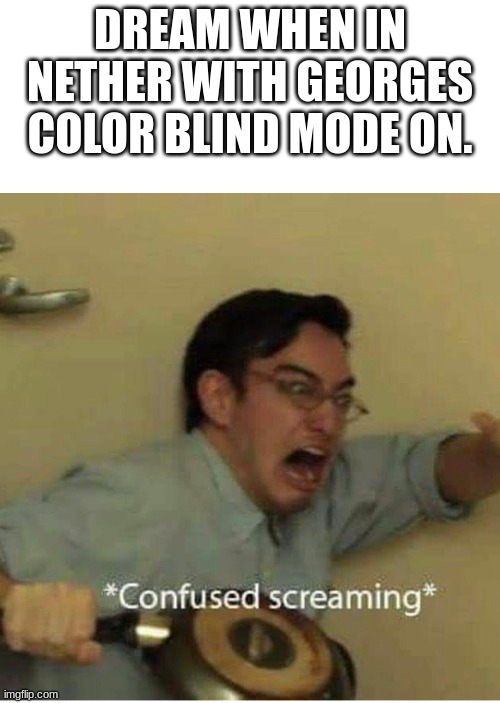 WHY IS IT BLACK |  DREAM WHEN IN NETHER WITH GEORGES COLOR BLIND MODE ON. | image tagged in confused screaming | made w/ Imgflip meme maker