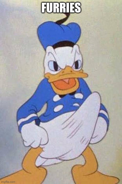 Horny Donald Duck | FURRIES | image tagged in horny donald duck | made w/ Imgflip meme maker