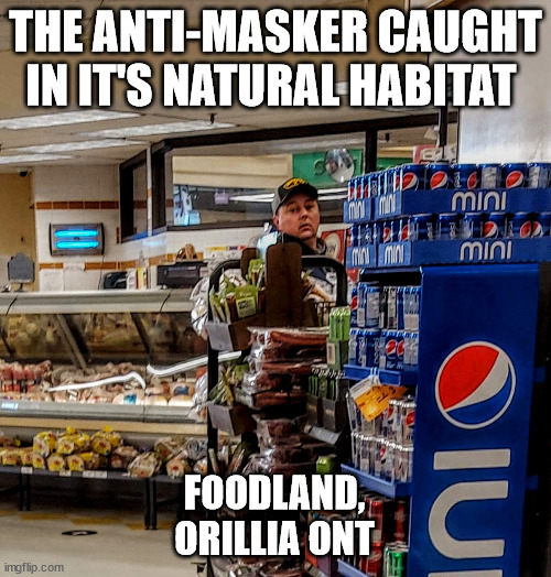 Anti-Masker | THE ANTI-MASKER CAUGHT IN IT'S NATURAL HABITAT; FOODLAND, 
ORILLIA ONT | image tagged in anti masker,covidiot,orillia | made w/ Imgflip meme maker
