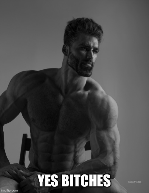 Giga Chad | YES BITCHES | image tagged in giga chad | made w/ Imgflip meme maker