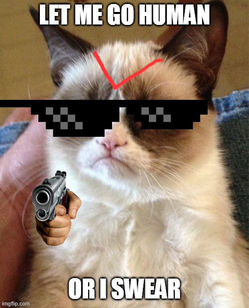 Grumpy Cat Meme | LET ME GO HUMAN; OR I SWEAR | image tagged in memes,grumpy cat | made w/ Imgflip meme maker