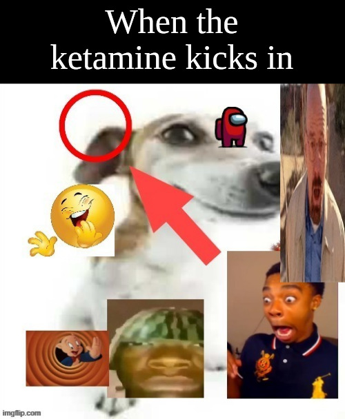 When the ketamine kicks in | made w/ Imgflip meme maker