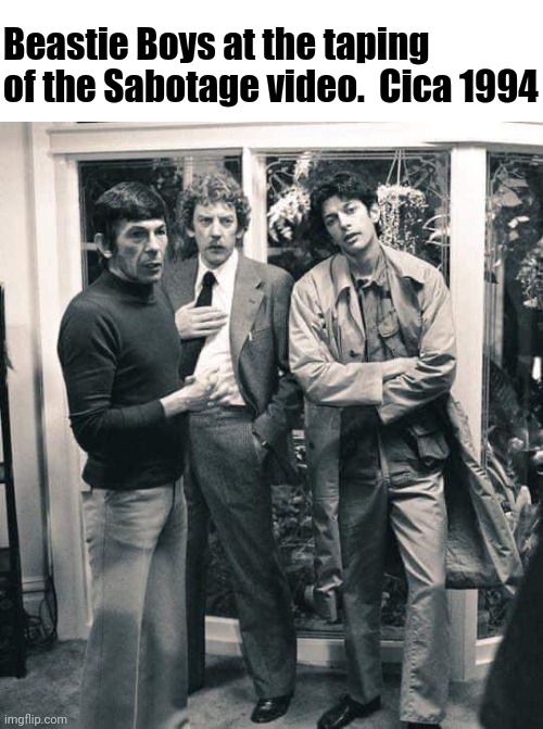 You know I planned it... | Beastie Boys at the taping of the Sabotage video.  Cica 1994 | image tagged in beastie boys,sabotage,leonard nimoy,invasion of the body snatchers donald sutherland,jeff goldblum | made w/ Imgflip meme maker