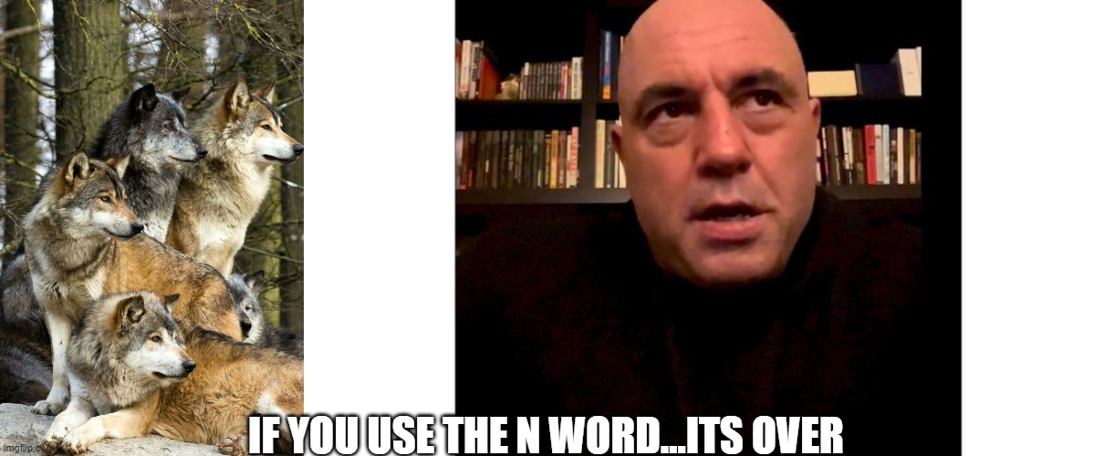 Even if you say sorry and want to improve, its hard to come back from the N word | IF YOU USE THE N WORD...ITS OVER | image tagged in rogan,n word,the rock,podcast,spotify | made w/ Imgflip meme maker