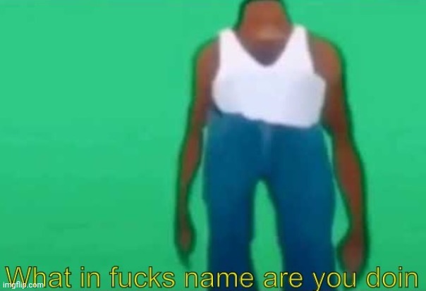 image tagged in what in fucks name are you doin | made w/ Imgflip meme maker