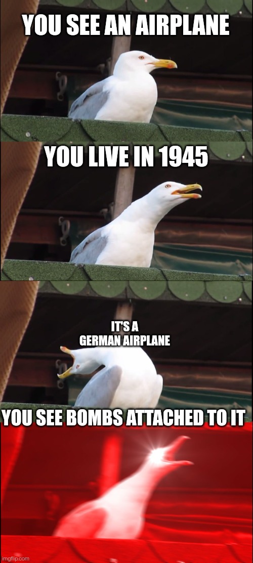 Run!!! | YOU SEE AN AIRPLANE; YOU LIVE IN 1945; IT'S A GERMAN AIRPLANE; YOU SEE BOMBS ATTACHED TO IT | image tagged in memes,inhaling seagull | made w/ Imgflip meme maker