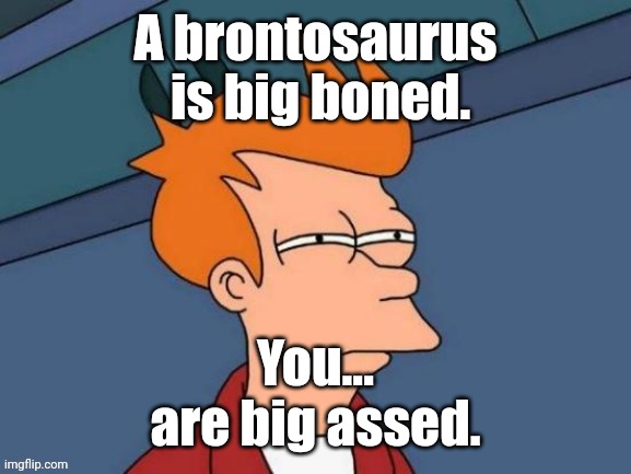 Fry is not sure... | A brontosaurus
 is big boned. You...
are big assed. | image tagged in fry is not sure | made w/ Imgflip meme maker