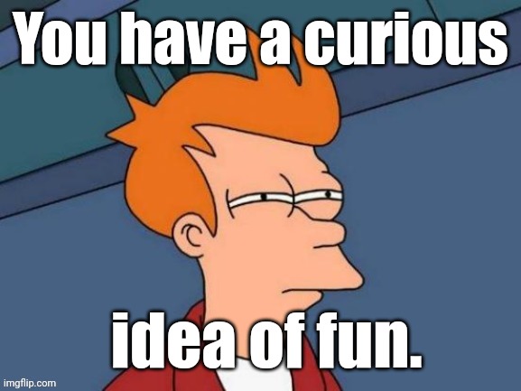 Fry is not sure... | You have a curious idea of fun. | image tagged in fry is not sure | made w/ Imgflip meme maker