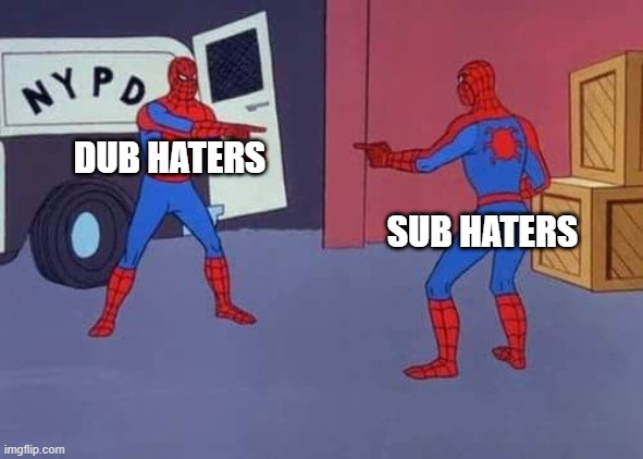 Spiderman mirror | DUB HATERS; SUB HATERS | image tagged in spiderman mirror | made w/ Imgflip meme maker