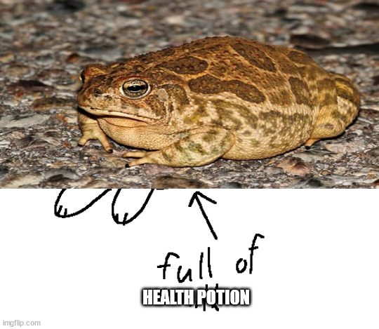 HEALTH POTION | made w/ Imgflip meme maker