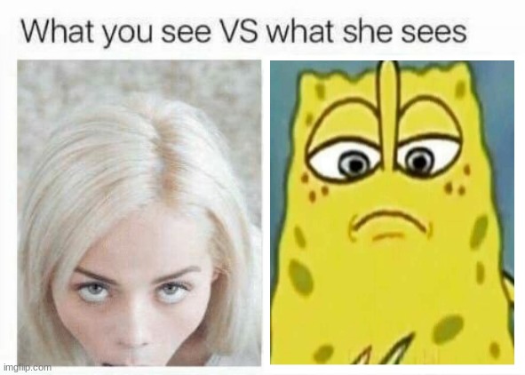 why did I make this | image tagged in what you see vs what she sees | made w/ Imgflip meme maker