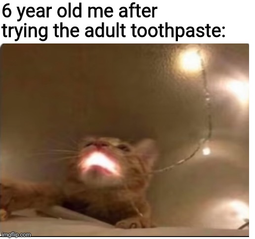 AHHHH | 6 year old me after trying the adult toothpaste: | image tagged in blank white template | made w/ Imgflip meme maker