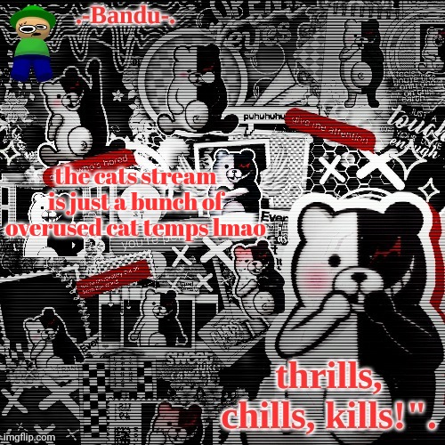 Funny Murder Bear (Thanks Laks) | the cats stream is just a bunch of overused cat temps lmao | image tagged in funny murder bear thanks laks | made w/ Imgflip meme maker