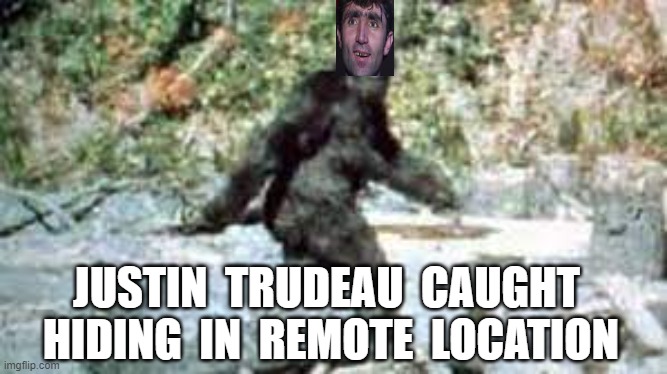 JUSTIN  TRUDEAU  CAUGHT  HIDING  IN  REMOTE  LOCATION | image tagged in justin trudeau,freedom rally,canadian truckers,coward | made w/ Imgflip meme maker