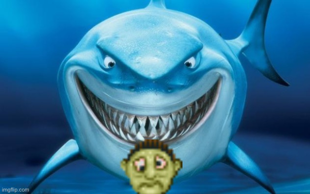 Hungry shark nemoÂ´s | image tagged in hungry shark nemo s | made w/ Imgflip meme maker