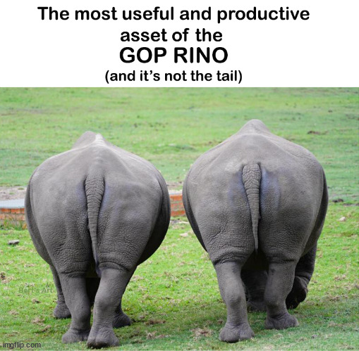 The most useful asset of the GOP RINO (and it's not the tail) | image tagged in memes,political | made w/ Imgflip meme maker