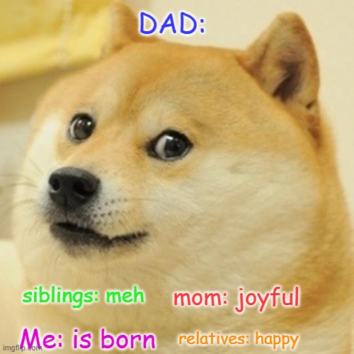 Doge Meme | DAD:; siblings: meh; mom: joyful; relatives: happy; Me: is born | image tagged in memes,doge | made w/ Imgflip meme maker