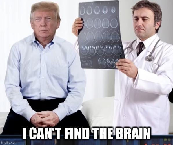 diagnoses | I CAN'T FIND THE BRAIN | image tagged in diagnoses | made w/ Imgflip meme maker