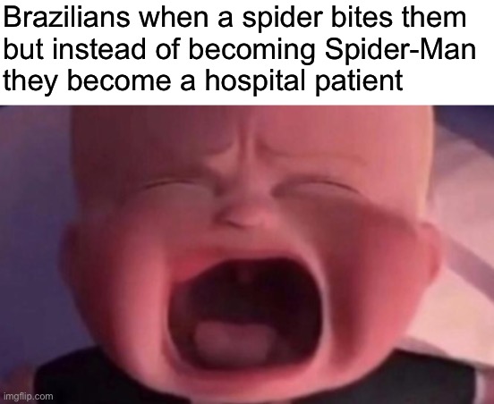 boss baby crying | Brazilians when a spider bites them
but instead of becoming Spider-Man 
they become a hospital patient | image tagged in boss baby crying | made w/ Imgflip meme maker