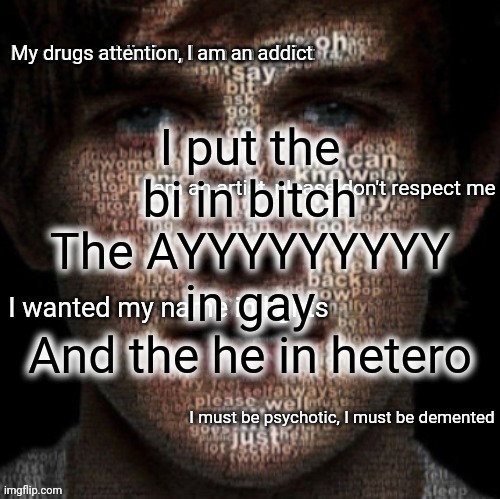 Bazooka's art is dead Bo Burnham temp | I put the bi in bitch
The AYYYYYYYYY in gay
And the he in hetero | image tagged in bazooka's art is dead bo burnham temp | made w/ Imgflip meme maker