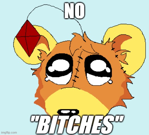 No Bitches...Damn.. | NO; "BITCHES" | image tagged in tails doll got no bitches | made w/ Imgflip meme maker