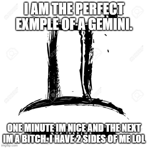 idk random thought | I AM THE PERFECT EXMPLE OF A GEMINI. ONE MINUTE IM NICE AND THE NEXT IM A BITCH. I HAVE 2 SIDES OF ME LOL | image tagged in gemini | made w/ Imgflip meme maker