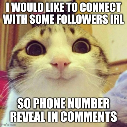Call me! |  I WOULD LIKE TO CONNECT WITH SOME FOLLOWERS IRL; SO PHONE NUMBER REVEAL IN COMMENTS | image tagged in memes,smiling cat,phone call,phone number | made w/ Imgflip meme maker