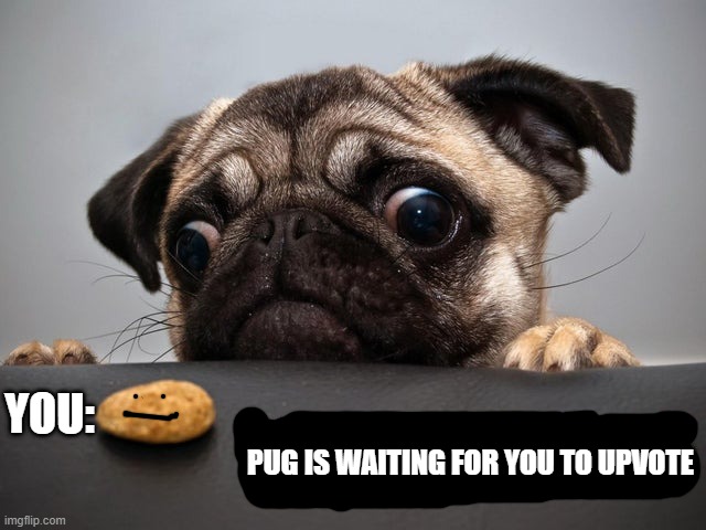 upvote begging? |  YOU:; PUG IS WAITING FOR YOU TO UPVOTE | image tagged in memes,funny,lolz,not memes,not funny | made w/ Imgflip meme maker