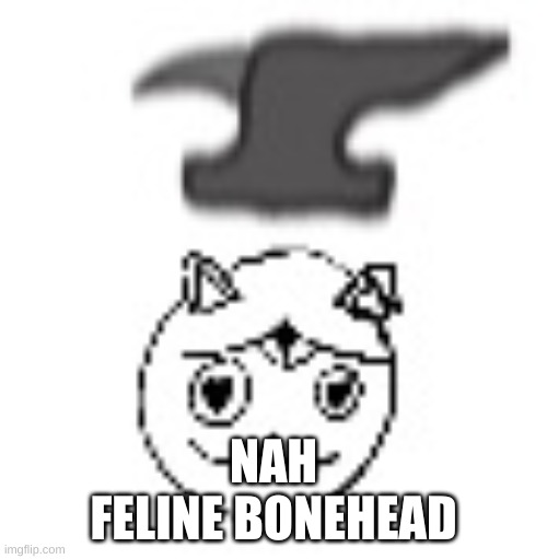 le bonke | NAH
FELINE BONEHEAD | image tagged in le bonke | made w/ Imgflip meme maker