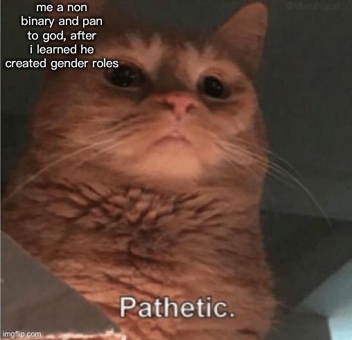 non binary struggle bus am i right? | me a non binary and pan to god, after i learned he created gender roles | image tagged in pathetic cat | made w/ Imgflip meme maker