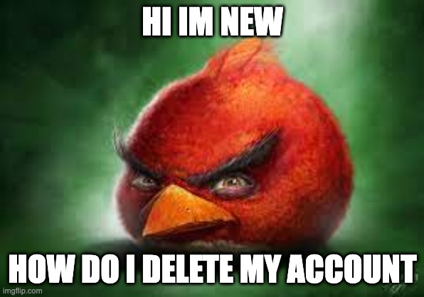Realistic Red Angry Birds | HI IM NEW; HOW DO I DELETE MY ACCOUNT | image tagged in realistic red angry birds | made w/ Imgflip meme maker