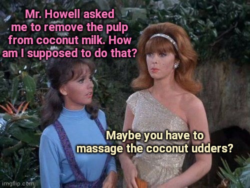 Mary Ann dilemma | Mr. Howell asked me to remove the pulp from coconut milk. How am I supposed to do that? Maybe you have to massage the coconut udders? | image tagged in ginger and mary ann,gilligan's island,classic tv,humor | made w/ Imgflip meme maker