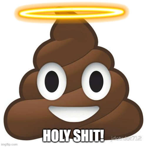 poop | HOLY SHIT! | image tagged in poop | made w/ Imgflip meme maker