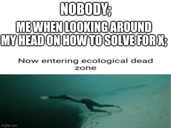 Subnautica fans!? | NOBODY;; ME WHEN LOOKING AROUND MY HEAD ON HOW TO SOLVE FOR X; | image tagged in uwu | made w/ Imgflip meme maker