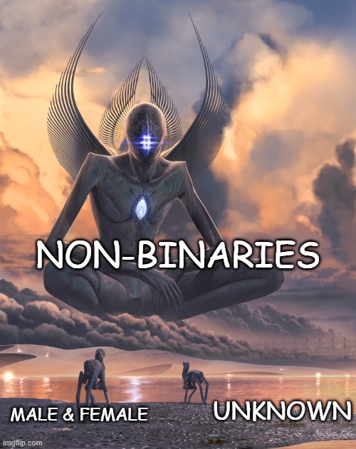 Metahuman | NON-BINARIES MALE & FEMALE UNKNOWN | image tagged in metahuman | made w/ Imgflip meme maker