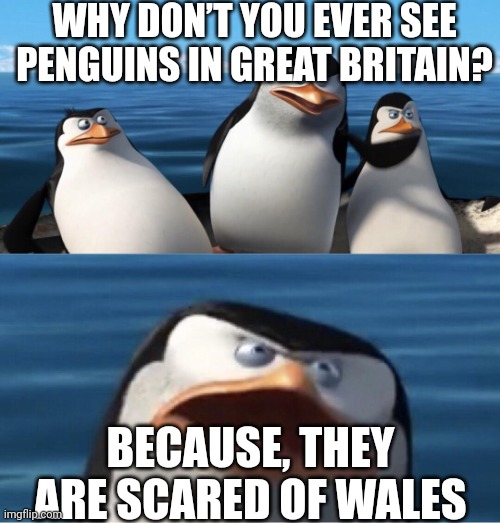 Wouldn't that make you | WHY DON’T YOU EVER SEE PENGUINS IN GREAT BRITAIN? BECAUSE, THEY ARE SCARED OF WALES | image tagged in wouldn't that make you | made w/ Imgflip meme maker