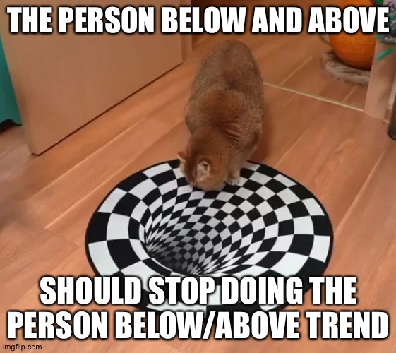 A Cat Staring at an Optical Illusion | THE PERSON BELOW AND ABOVE; SHOULD STOP DOING THE PERSON BELOW/ABOVE TREND | image tagged in a cat staring at an optical illusion | made w/ Imgflip meme maker