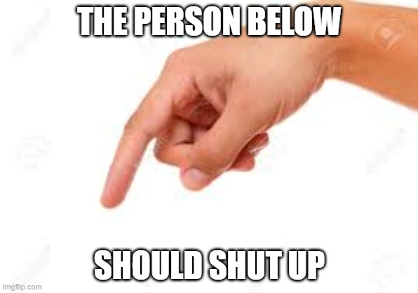the person below | THE PERSON BELOW; SHOULD SHUT UP | image tagged in the person below | made w/ Imgflip meme maker