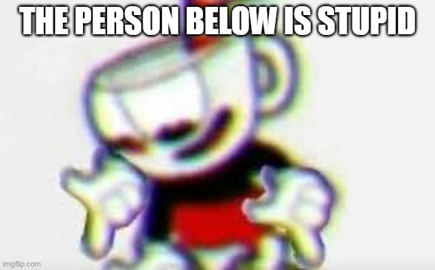 The Person Below is... | THE PERSON BELOW IS STUPID | image tagged in the person below is | made w/ Imgflip meme maker