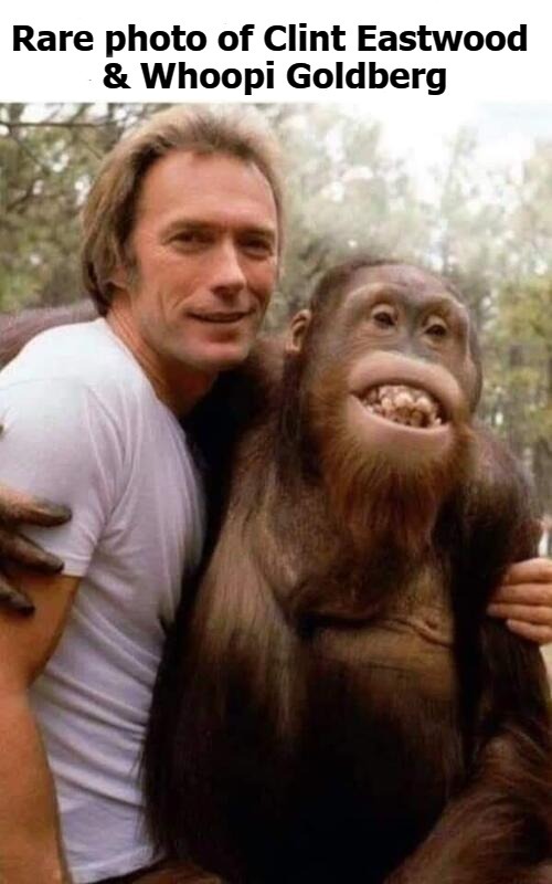 Rare photo of Clint Eastwood & Whoopi Goldberg | image tagged in clint eastwood,whoopi goldberg,rare photo,right turn clyde,orangutan,stupid liberals | made w/ Imgflip meme maker