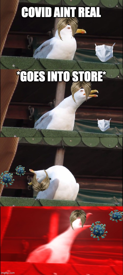 Inhaling Seagull | COVID AINT REAL; *GOES INTO STORE* | image tagged in memes,inhaling seagull | made w/ Imgflip meme maker