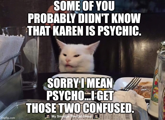 SOME OF YOU PROBABLY DIDN'T KNOW THAT KAREN IS PSYCHIC. SORRY I MEAN PSYCHO...I GET THOSE TWO CONFUSED. | image tagged in smudge the cat | made w/ Imgflip meme maker