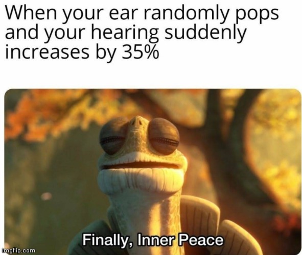 image tagged in memes,finally inner peace,hearing | made w/ Imgflip meme maker