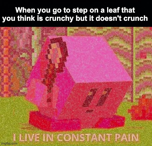 SADD | When you go to step on a leaf that you think is crunchy but it doesn't crunch | image tagged in memes,unfunny | made w/ Imgflip meme maker