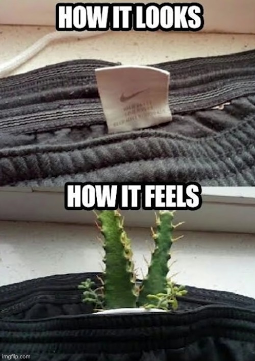 stings doesn't it? | image tagged in memes,unfunny | made w/ Imgflip meme maker