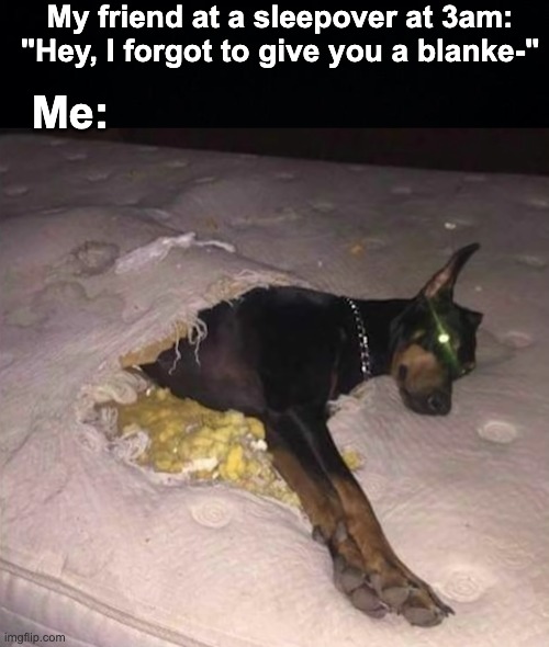well well well... look who finally decided to give me warmth | My friend at a sleepover at 3am: "Hey, I forgot to give you a blanke-"; Me: | image tagged in memes,unfunny | made w/ Imgflip meme maker