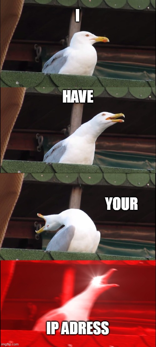 Inhaling Seagull Meme | I; HAVE; YOUR; IP ADRESS | image tagged in memes,inhaling seagull | made w/ Imgflip meme maker